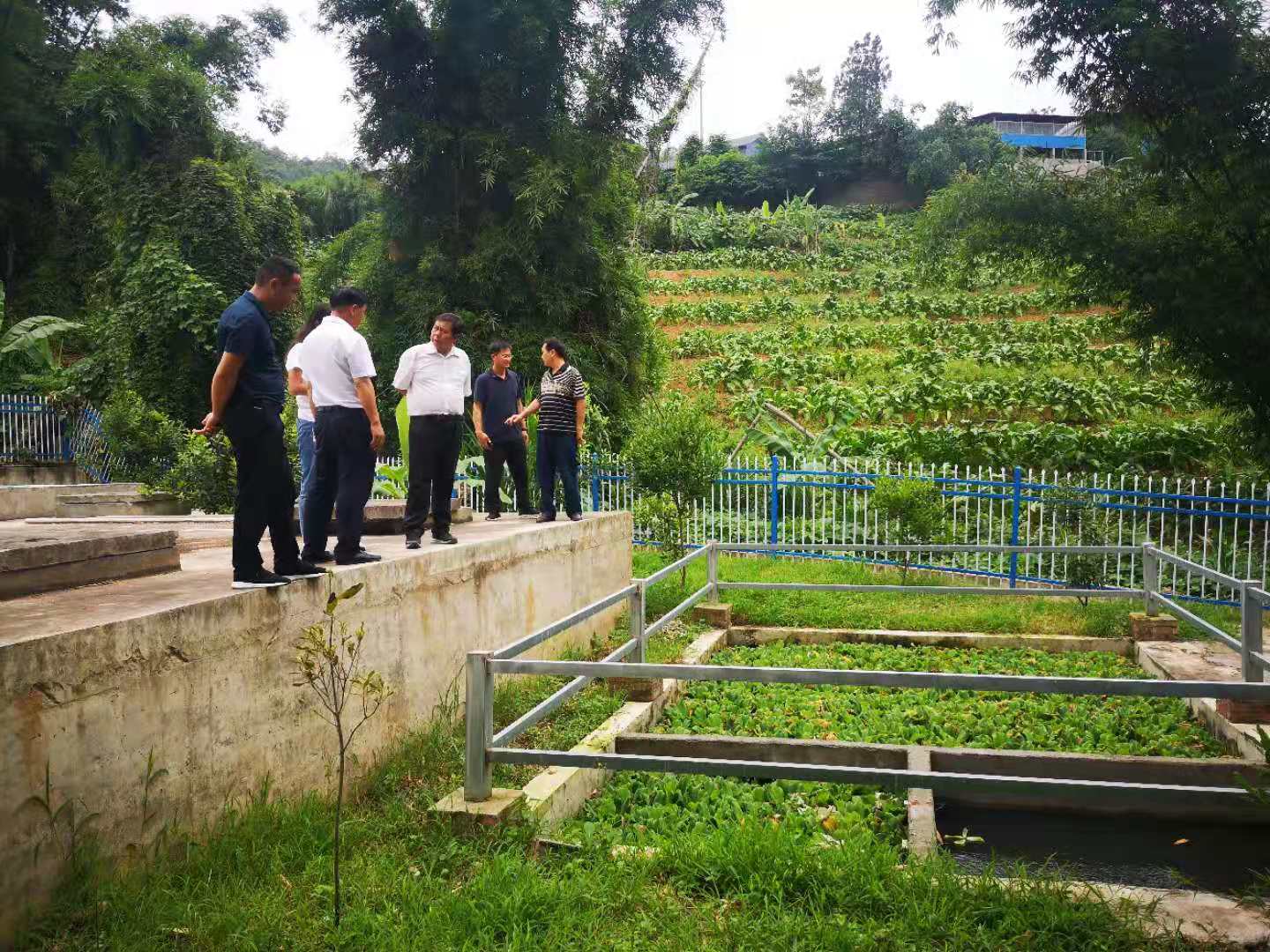 農(nóng)村生活污水設(shè)備 農(nóng)村生活污水設(shè)備