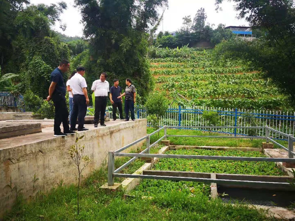 村鎮生活污水處理設備